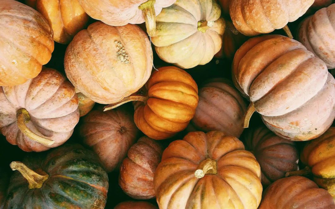 The Best Fall Events in Carmel, Indiana