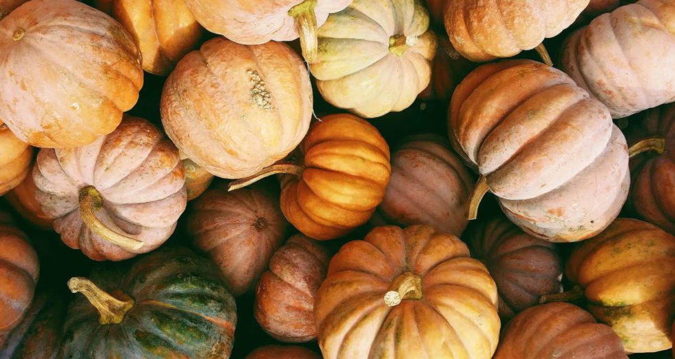 the-best-fall-events-in-carmel-indiana-waterfront-of-west-clay